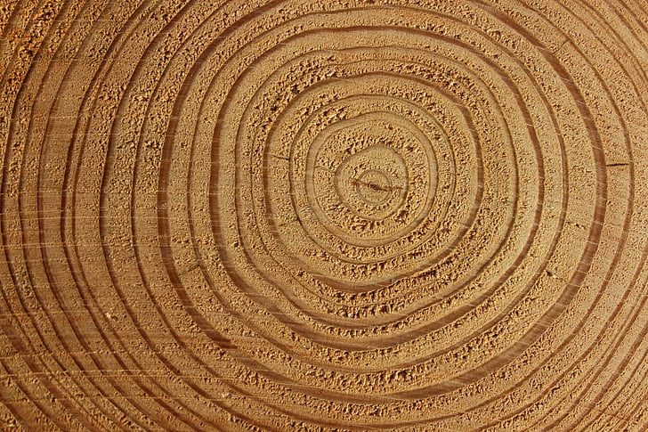 дървен материал, кора на дърво, дърво, кора, регистър, структура, фон