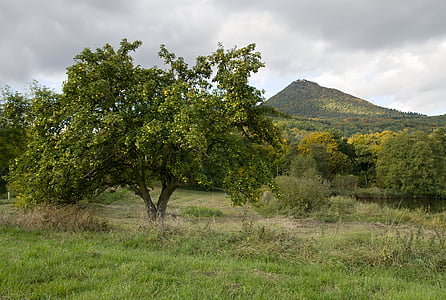 το φθινόπωρο, δέντρο, České středohoří, φύση, φυλλοβόλο δέντρο, Δημοκρατία της Τσεχίας, το ταξίδι