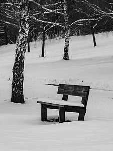 Banco, invierno, nieve, bosque, blanco y negro, trueb, silencio