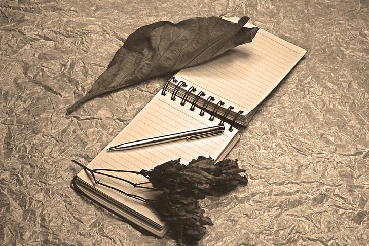notepad, dried leaves, fine art, light painting, pen, notes, romance