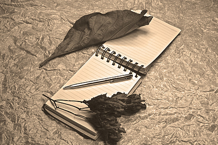 Notepad, daun-daun kering, seni rupa, cahaya lukisan, pena, Catatan, Romance