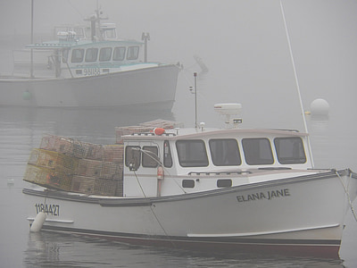 Омар лодка, лодки, омари, капани, саксии, Риболов, мъгла