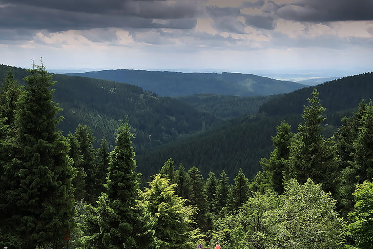 Forest, vue, vue à distance, forêt de Thuringe, arbres, nature, montagne