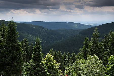 skov, Se, Fjern Se, Thüringer skoven, træer, natur, Mountain