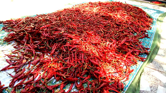 红色, 寒冷, 辣椒, 热, 香料, 调味, 辣椒