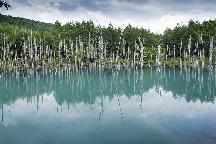 laghetto blu, Hokkaido, Giappone, Laguna, Lago, Lago giapponese, Furano