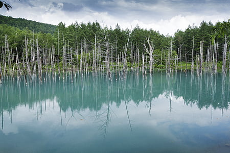 niebieski staw, Hokkaido, Japonia, Lagoon, Jezioro, japoński jezioro, Furano