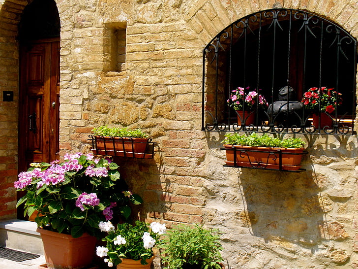 Italija, gėlės, langas