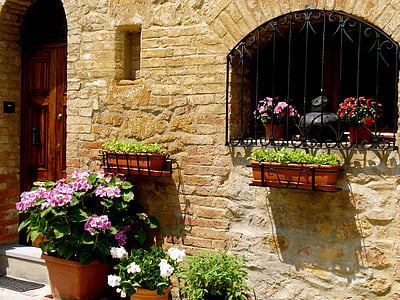 Italien, blommor, fönster