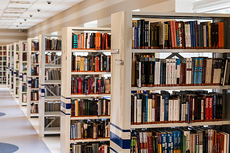thư viện, cuốn sách, đọc, giáo dục, kiến thức, cho thuê, Kielce