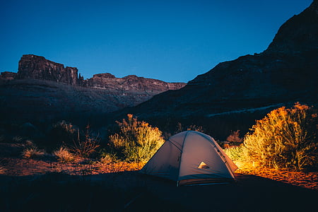 grijs, Camping, tent, in de buurt van, geel, licht, struiken