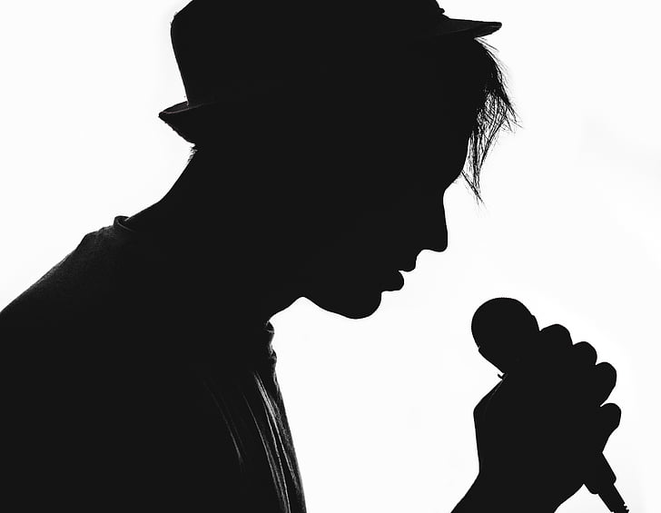 silhouette, musician, vocalist, microphone, artist, concert, music
