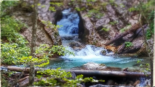 agua, árbol, Quebrada, de Bach, naturaleza, cascada, Río