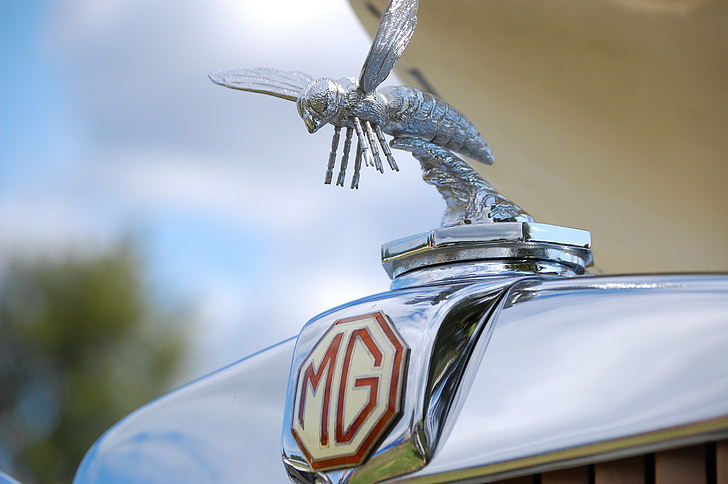 mg, Hornet, voiture, antique, classique, Britannique, Vintage