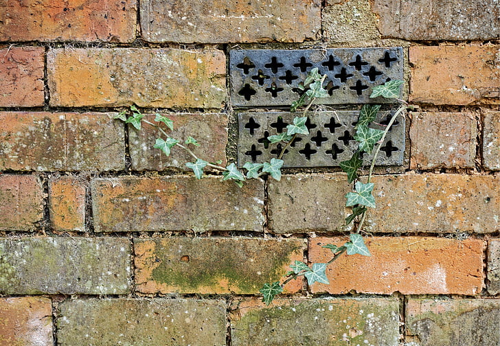 brick, wall, ivy, ventilator, neglect, neglected, decay