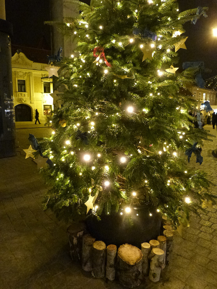 Коледа, дърво, светлини, декорация, празник