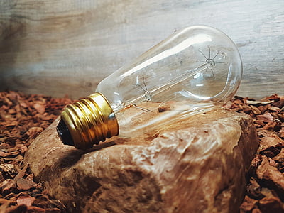 bulb, close-up, light bulb, rock, wood - Material