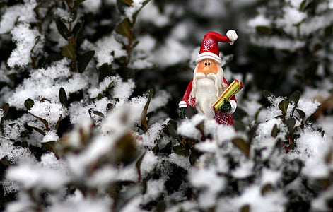 dekoracija, pozimi, božič, sneg, igrača, božično dekoracijo, božično drevo