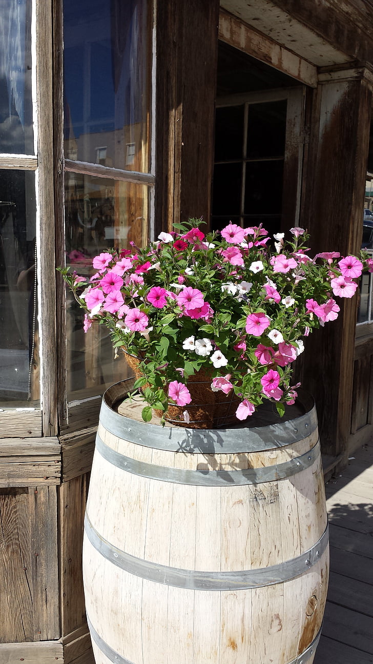 barel, kvety, ružové kvety, veranda, rustikálne, Vintage, kvet