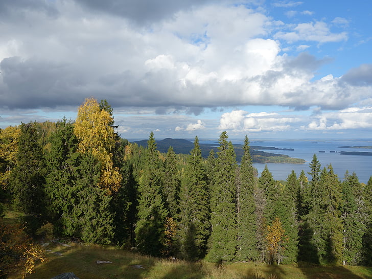 lieksa, 芬兰, 夏季, 美丽的风景, 景观, pielinen