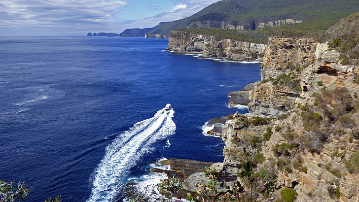 Tasmania, Tasman arch, kysten, Australia, Rock, Park, utkikk