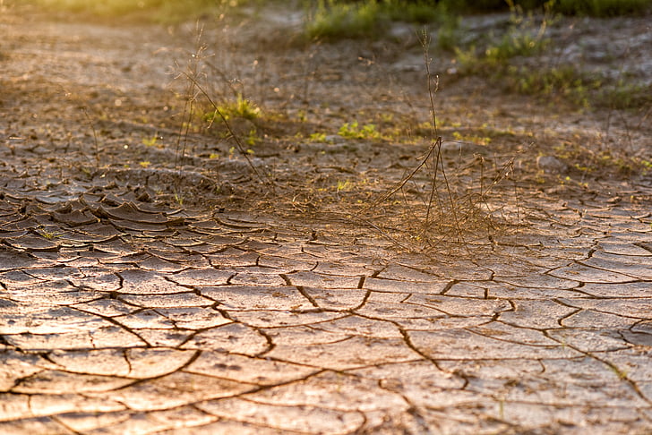 cracked ground, desert, dirt, drought, nature, mud, land