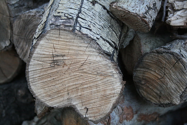 mucchio di legno, segato, legno, legname, legname, pila, legna da ardere