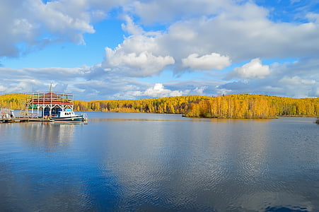 autunno, stagno, fiume, barca, acqua, foresta, bosco giallo
