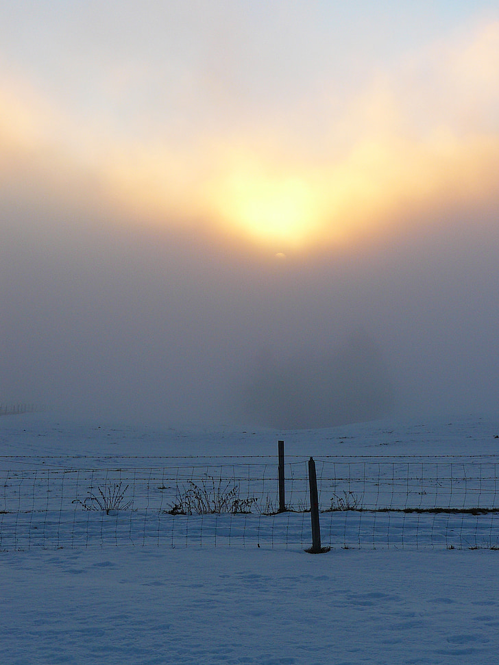 winter mood, sun, fog, clouds, atmospheric, nature, snow