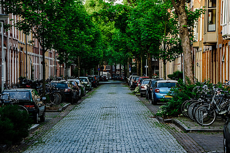 улица, град, къщи, автомобили, велосипеди, дървета, перспектива
