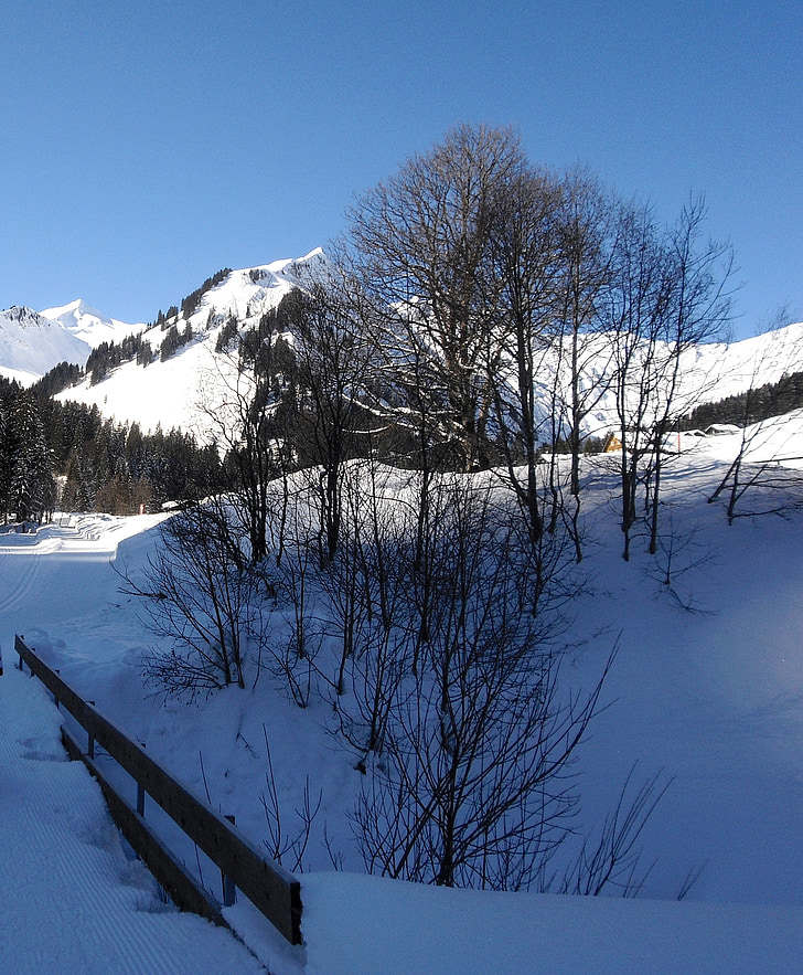 winter, snow, trees, cold, frost, mountains, walsertal