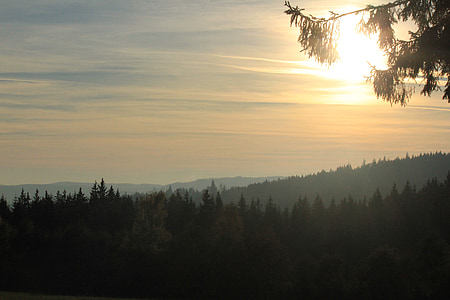 Šumava, лес, пейзаж, Чешская Республика, деревья, туман