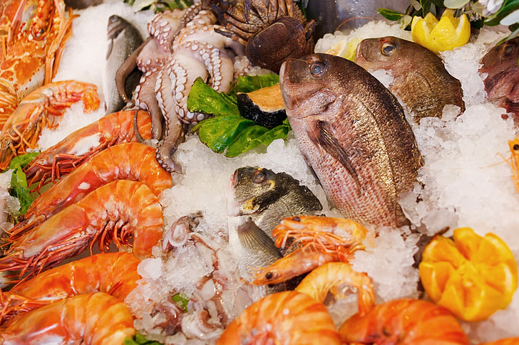 plodovi mora, hrana, zdrav, more, svježe, riba, restoran