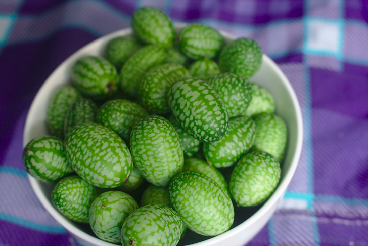 gherkin, tiny, small, mexican sour gherkin, melothria scabra, cucamelon, cucumber