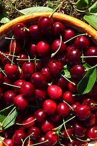 cherries, basket, fruit, red, summer, sweet cherry, fruits