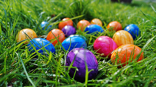 부활절, 계란, 색상 달걀, 봄, 풀밭에서, 색상, 부활절 달걀