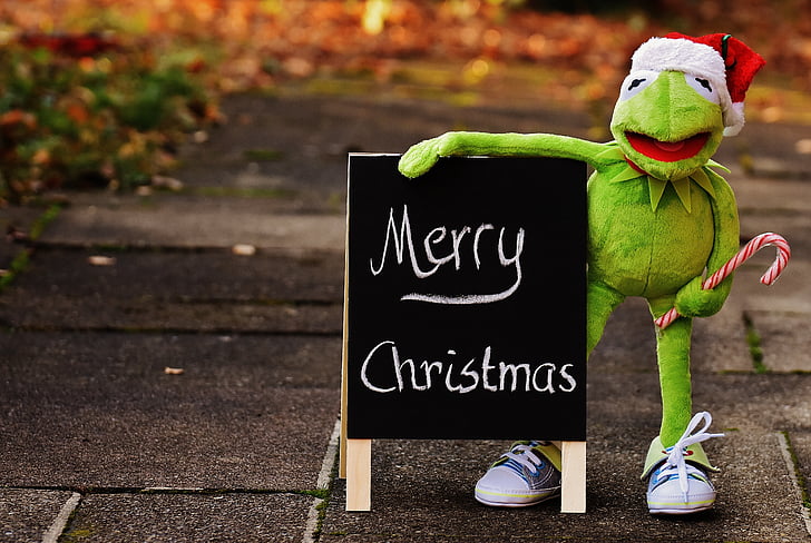 Кермит, лягушка, Рождество, колпак Санта-Клауса, мило, смешно, время Рождества