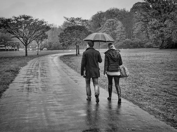 Regen, Brasschaat, Park, zu Fuß, Liebe, Wanderweg, Wandern