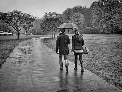 lietus, Brasschaat, parks, staigāt, mīlu, ceļa iešana, Pārgājieni