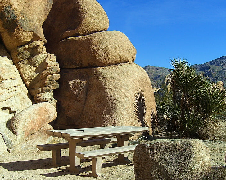 Joshua tree, nemzeti park, Mojave-sivatagban, California, piknik, piknik, Picnik