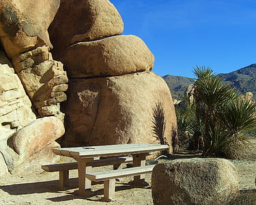 Joosua puu, kansallispuisto, Mojaven aavikko, California, Picnic, piknik, Picnik
