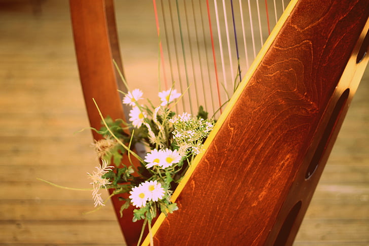 harpe, harpe avec fleurs, cordes de la harpe, conception, musique, décoratifs, décoration