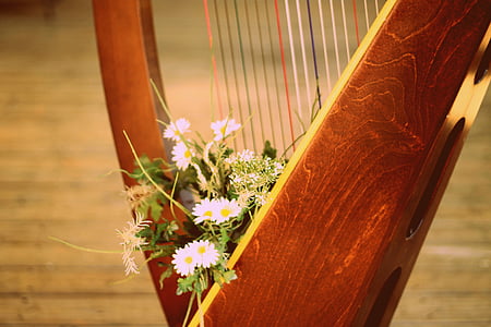 harp, harp with flowers, harp strings, design, music, decorative, decoration