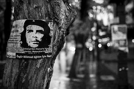 Che guevara, drvo, plakat, revolucija, lijevo, dom, otpor