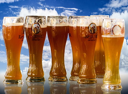 seven, filled, drinking, glasses, Beer, bottles, cloudy