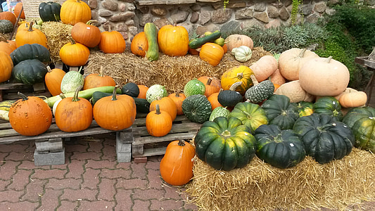 pumpkin, nature, vegetables, food, deco, halloween, pumpkins