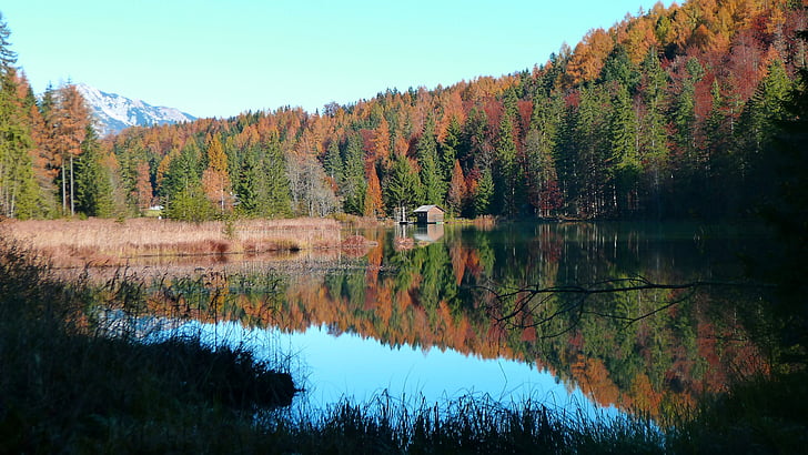 hösten, landskap, naturen, vatten, sjön, vatten speglar, Höstens mood