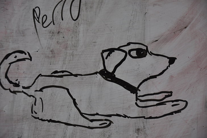dog, drawing, child drawing, slate, marker, black and white, backgrounds