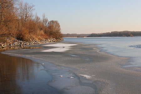 lake, ice, nature, frost, trees, water, peace
