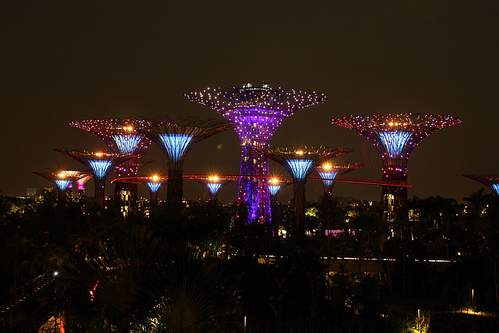 singapore, tree, sky, night, landmark, park, asia